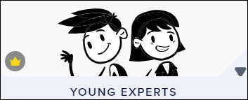 young experts-pro.png