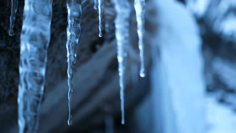 Powtoon_GIF (14).gif