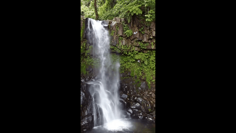 vertical - veo2.gif